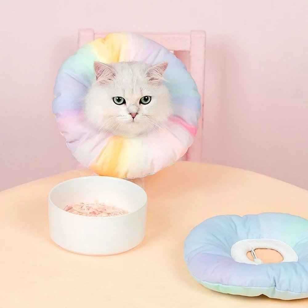 漸變色伊莉莎白圈 (三色)